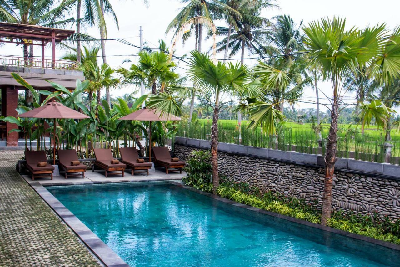 Paon Desa Ubud Dış mekan fotoğraf